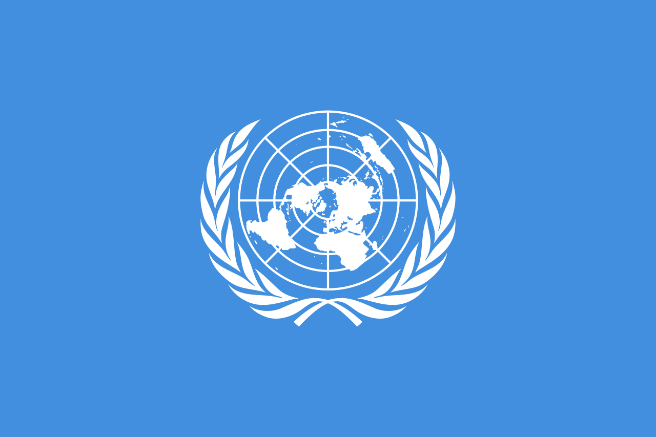 7. UNITED NATIONS