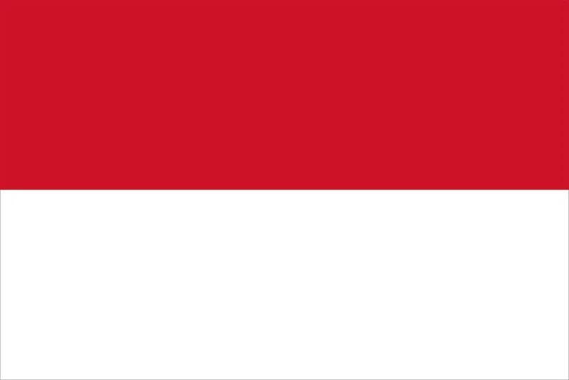 6. REPUBLIC OF INDONESIA